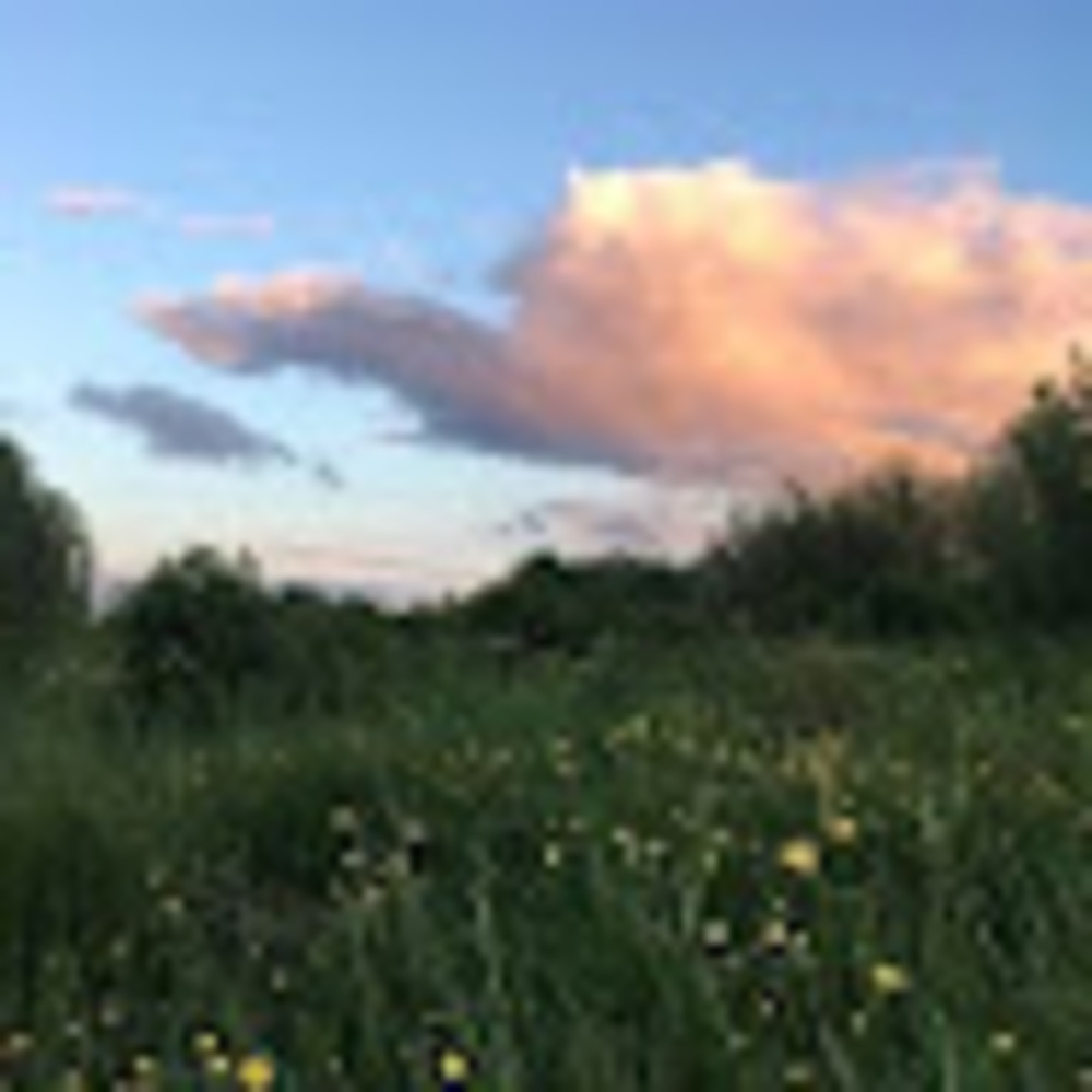 Meet your Posher, Lindsey